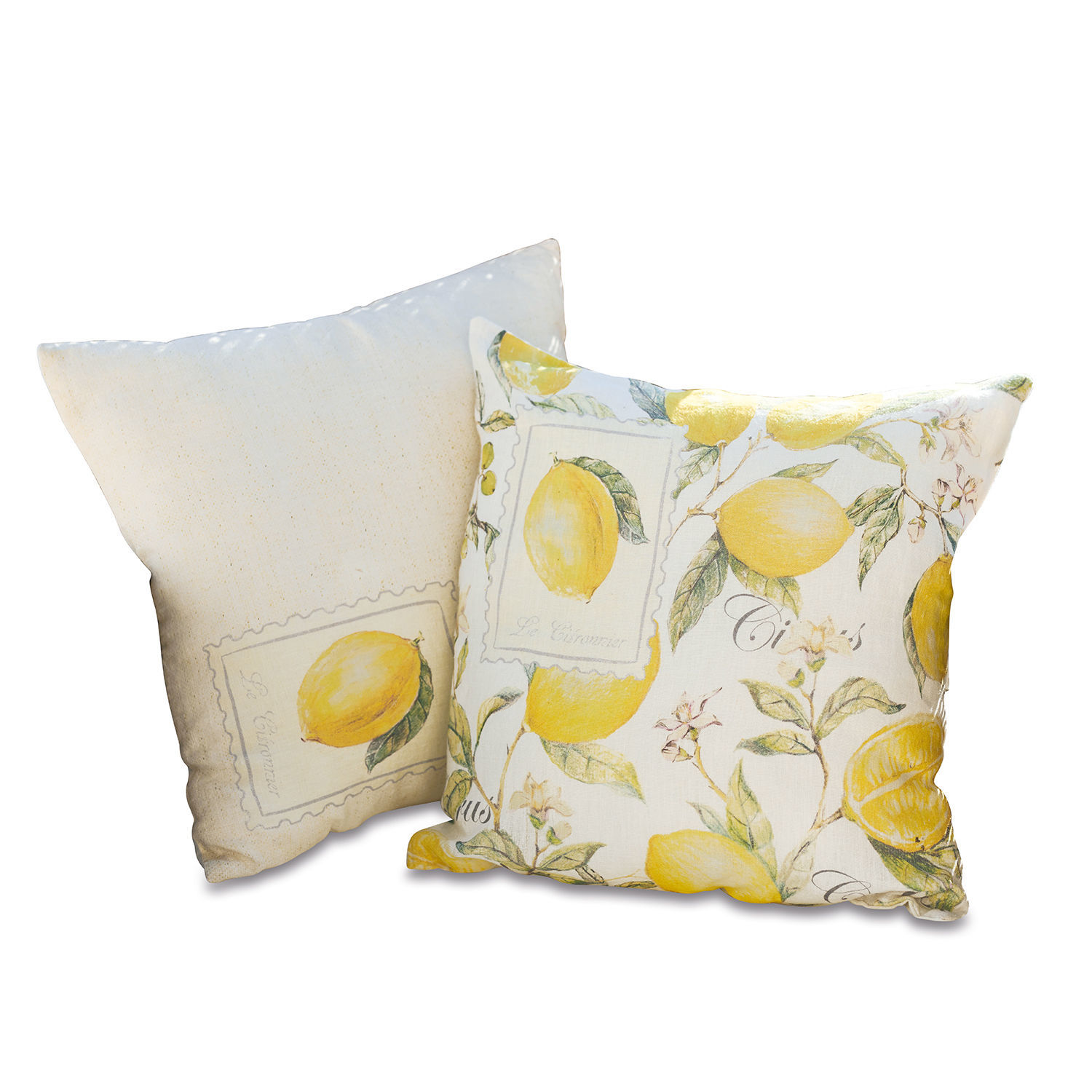 Lot de 2 housses de coussins Lantagenet
