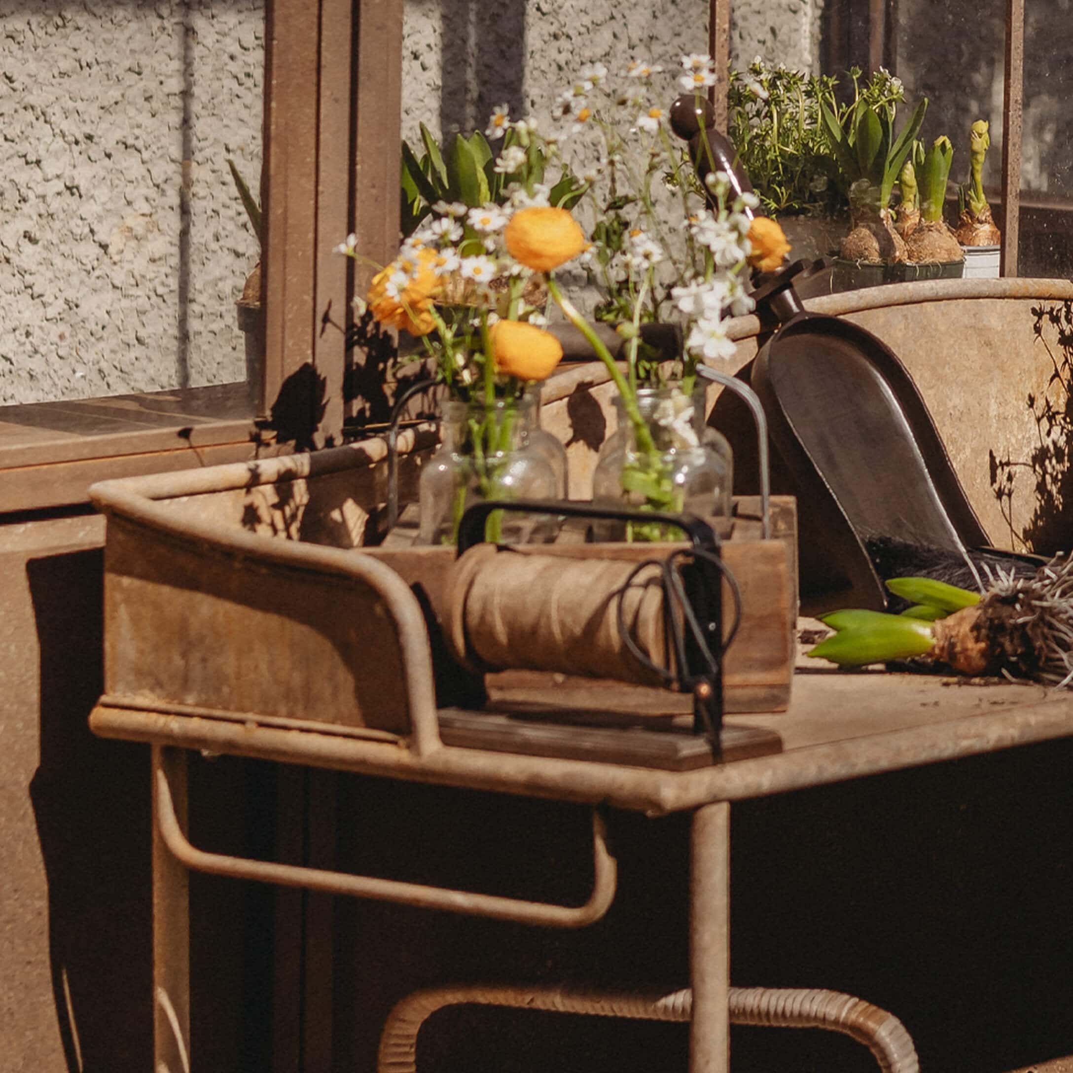 Table de jardin en métal avec fleurs jaunes en vase en verre et outils de jardinage rustiques