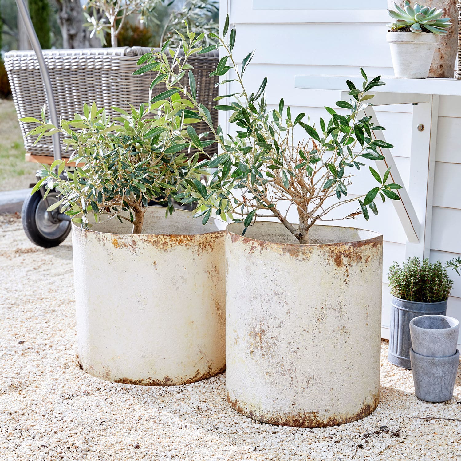Lot de 2 cache-pots Sconne Deux grands pots en métal blanc avec plantes vertes posés sur un sol gravillonné à l'extérieur