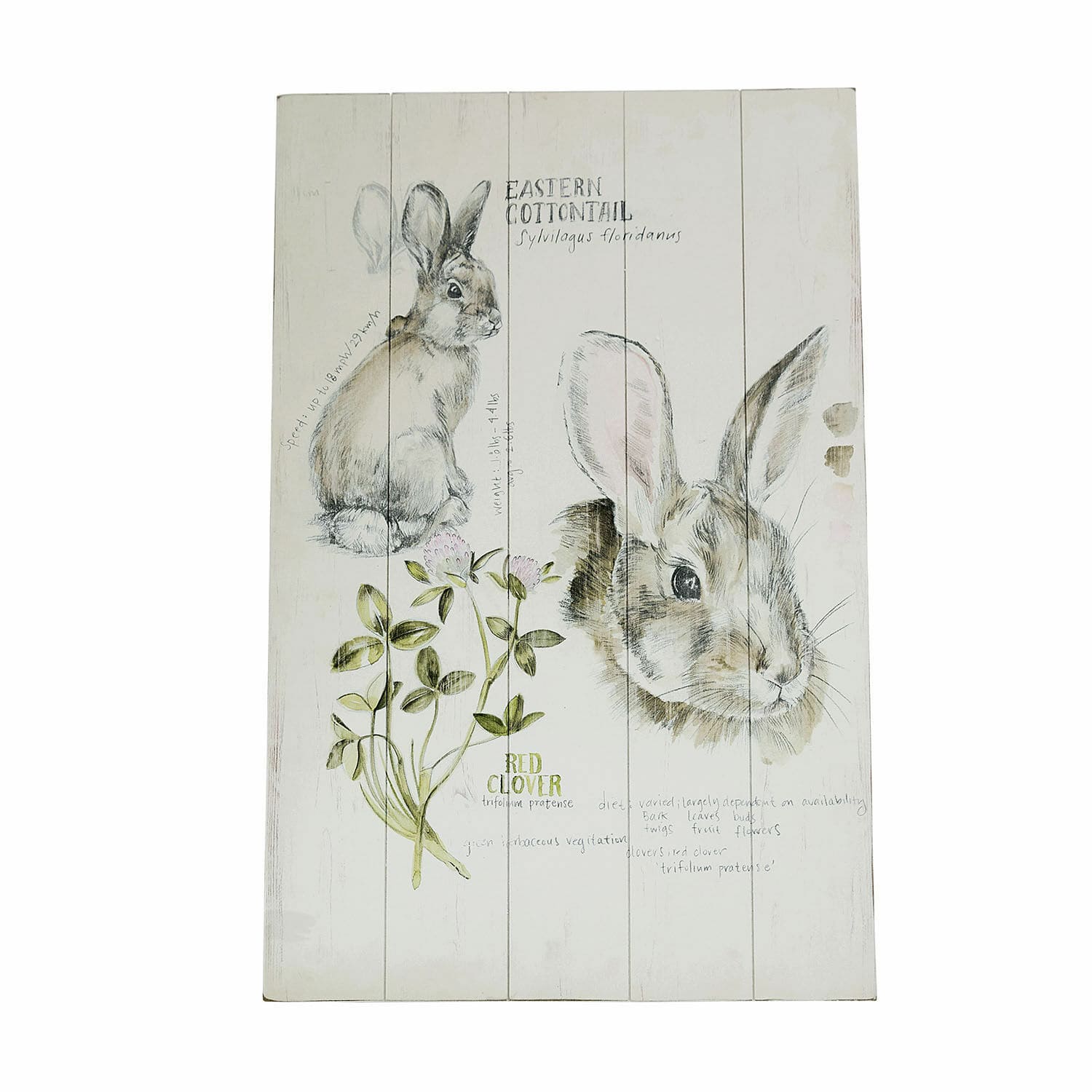 Panneau décoratif Luppis Décoration murale en bois avec illustration de lapin et trèfle rouge aux couleurs naturelles