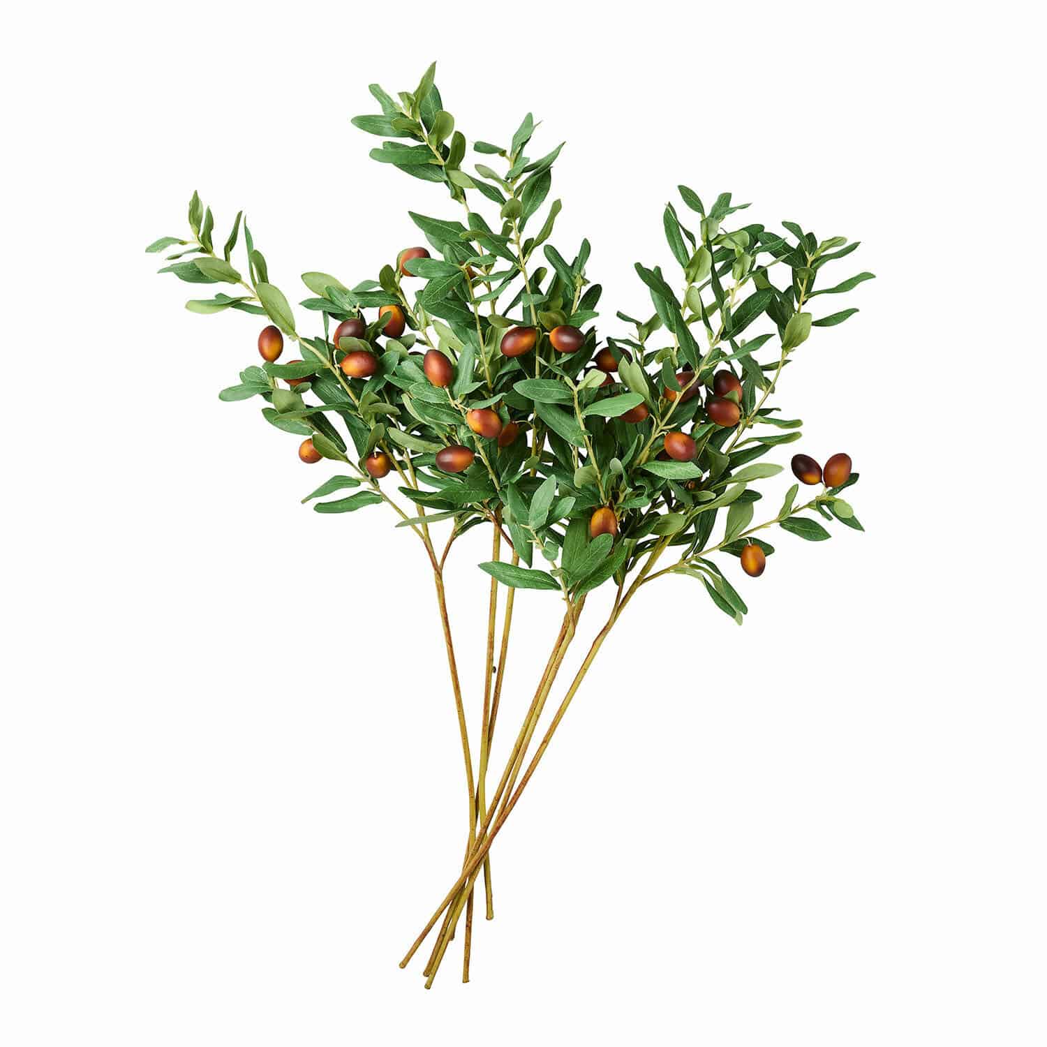 Lot de 6 branches d'olivier décoratives avec feuilles vertes et fruits marron pour décoration intérieure