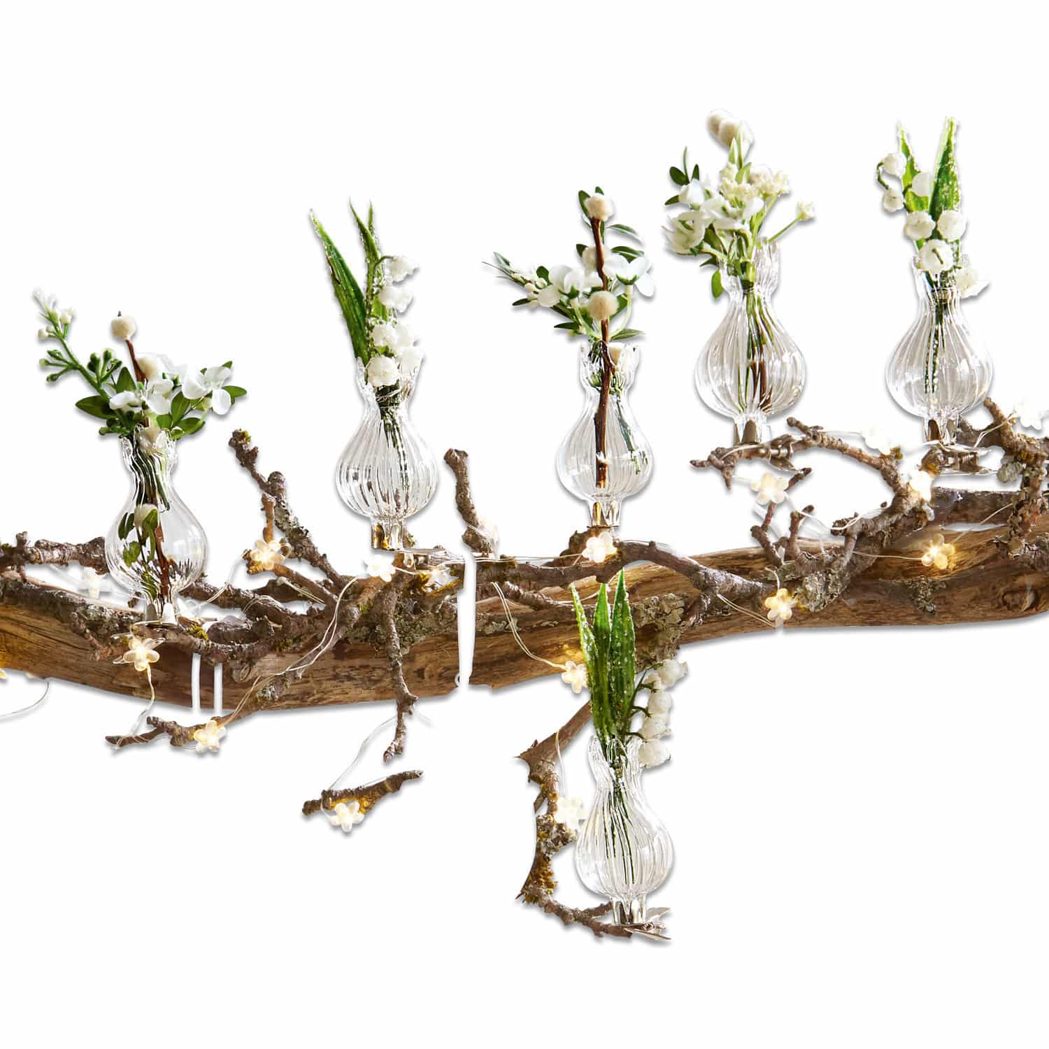 Lot de 6 vases Josephine