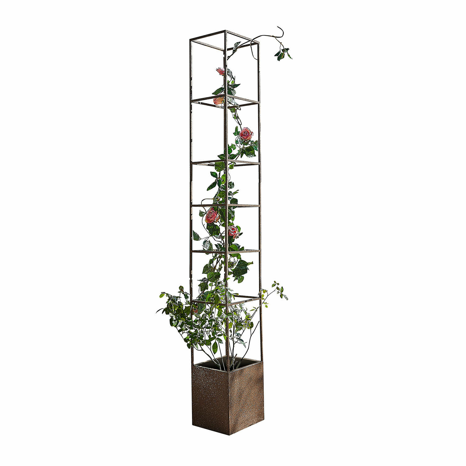 Support pour plantes grimpantes Elixvo
