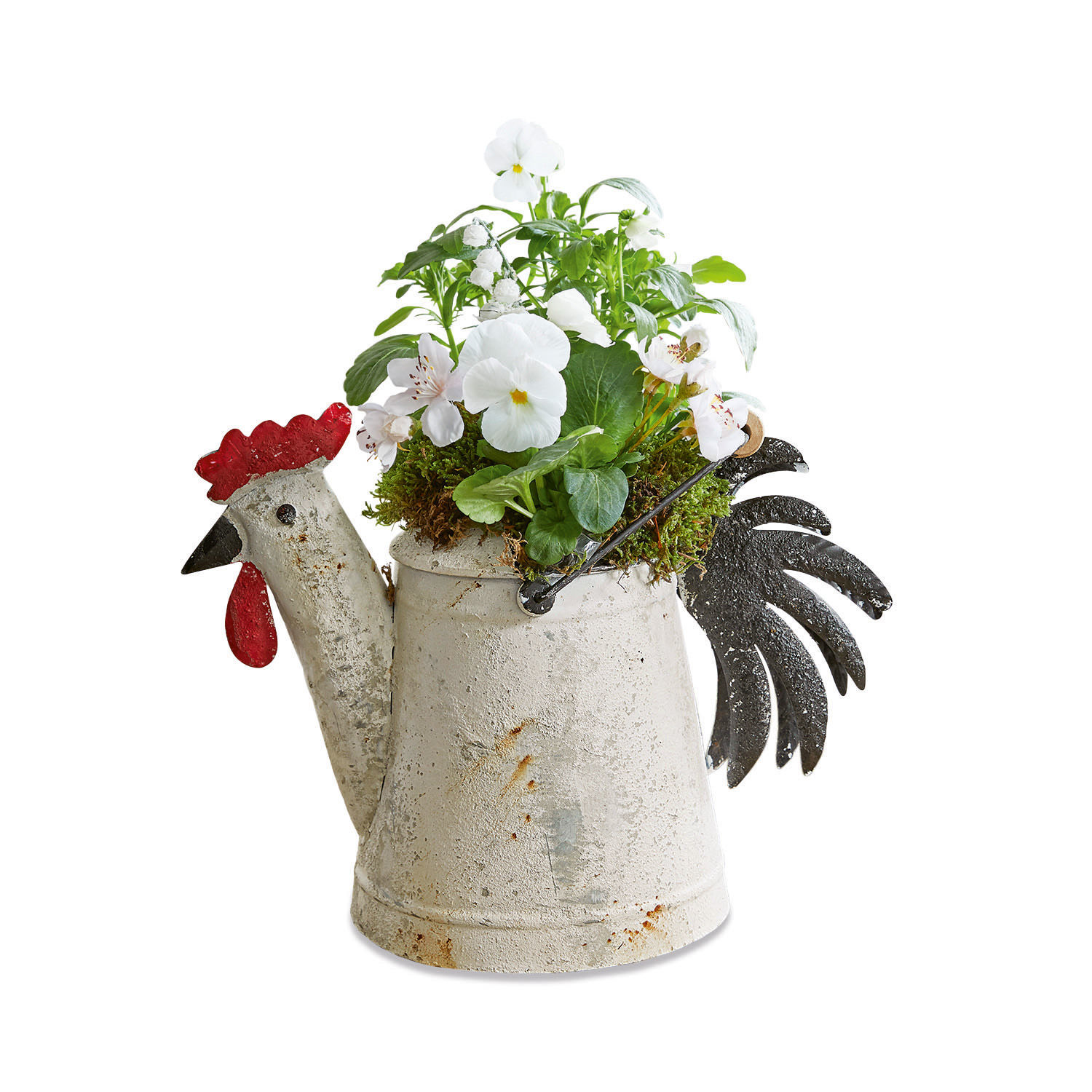 Arrosoir déco Lunier