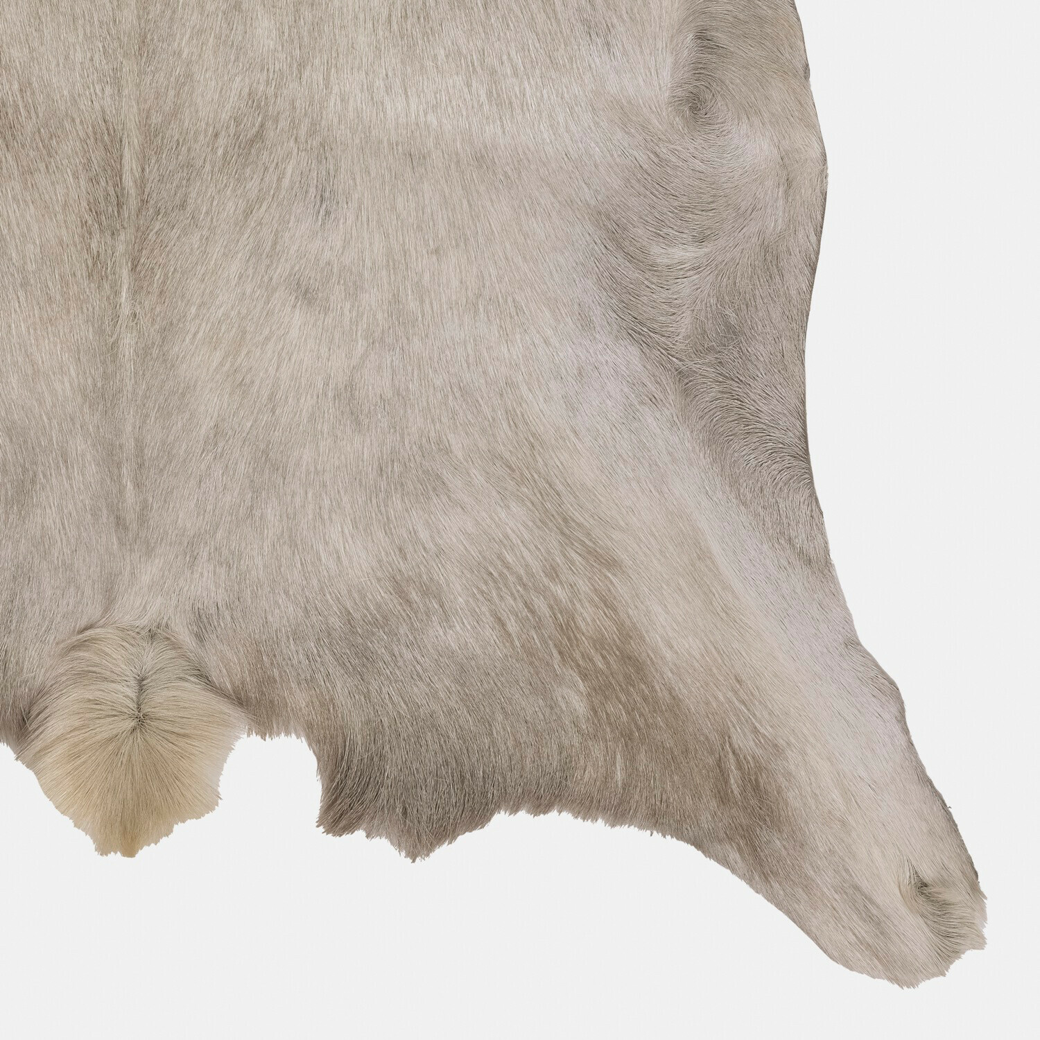 Peau de chèvre Piedro