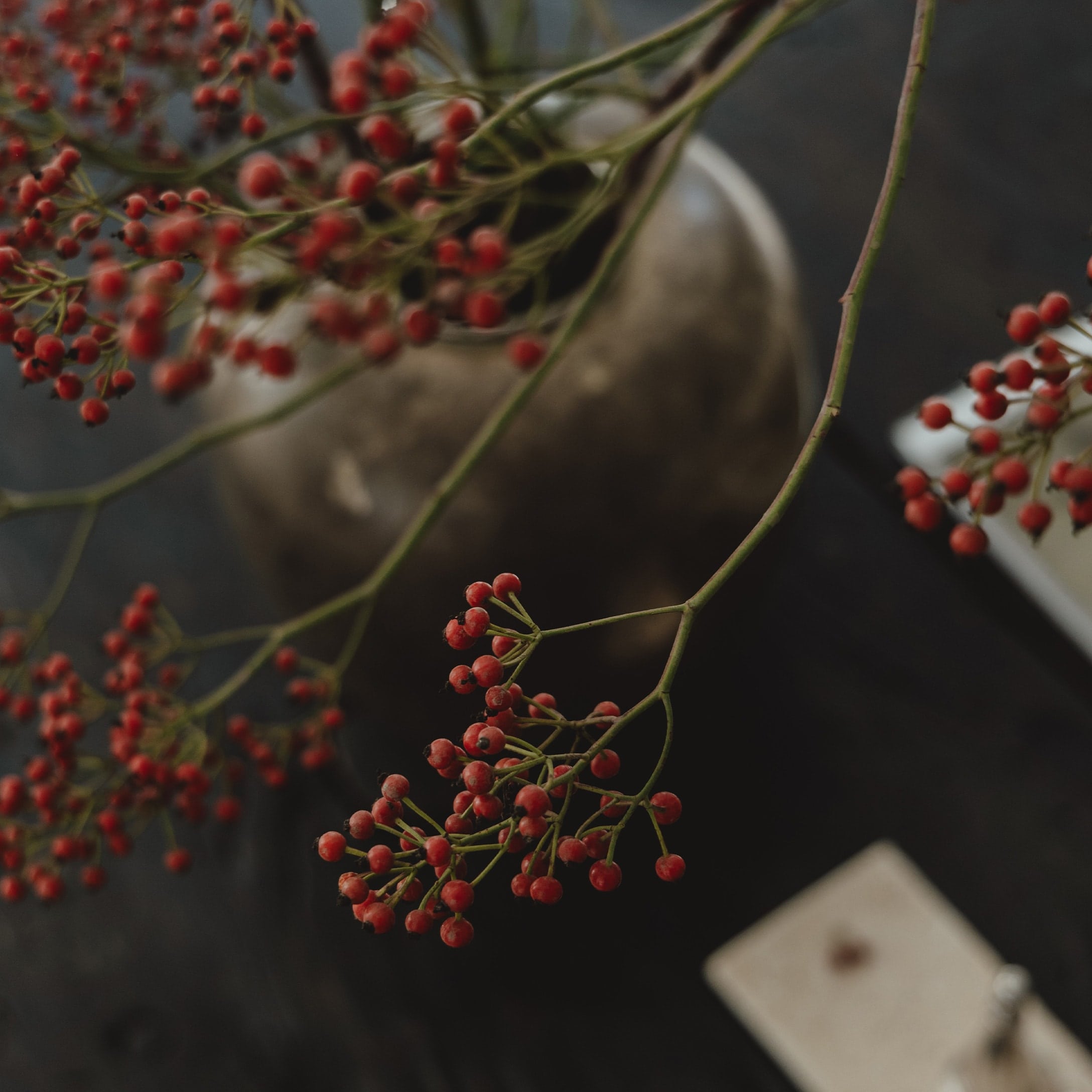 Branches avec baies rouges devant un vase gris mat sur une table sombre décorative