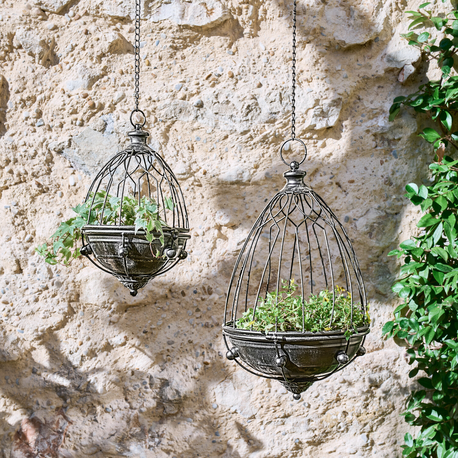 Lot de 2 volières Yserande Jardinières suspendues en métal noir en forme de cage avec plantes vertes devant un mur en pierre