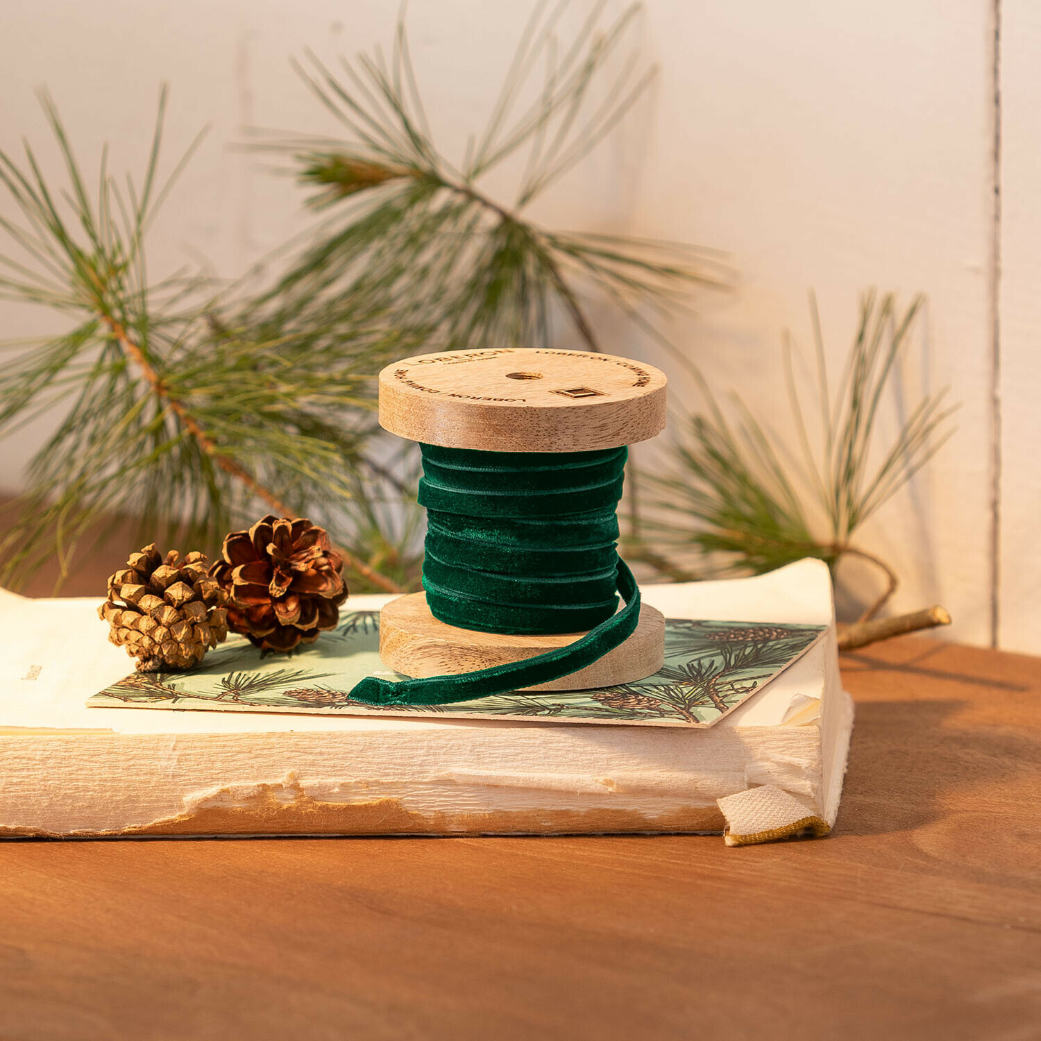 Ruban de velours Olessa