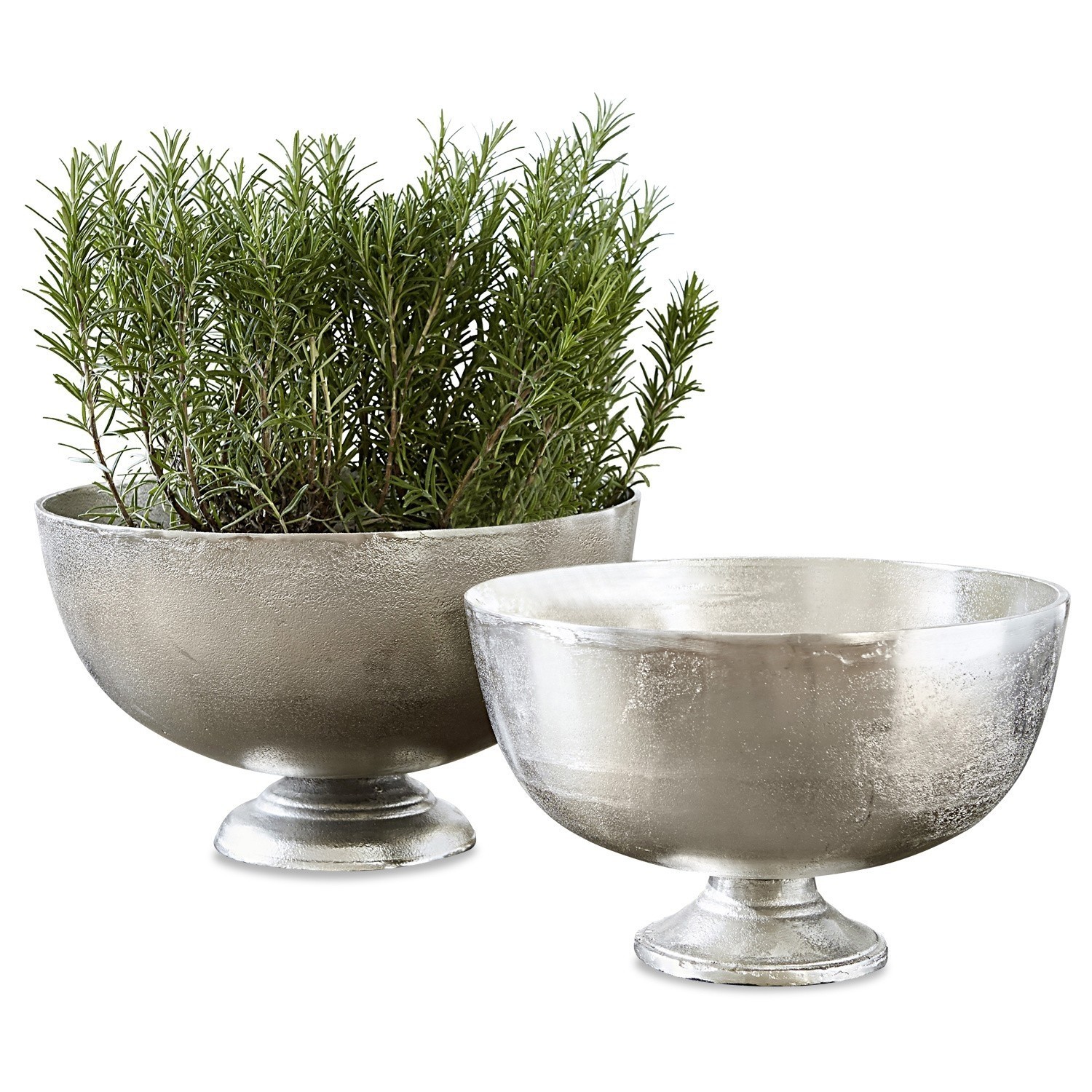 Coupe Gertina