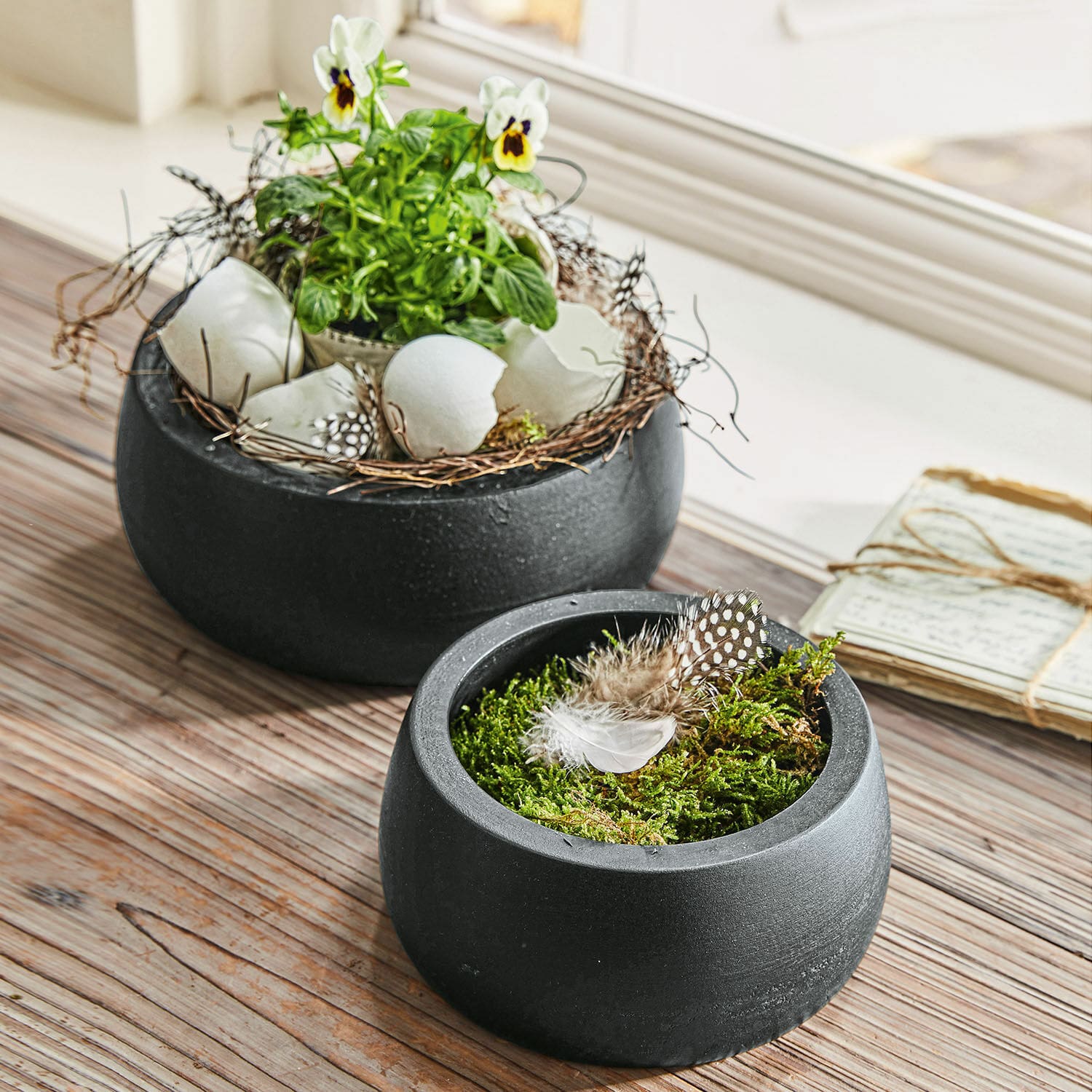 Lot de 2 coupes Mael