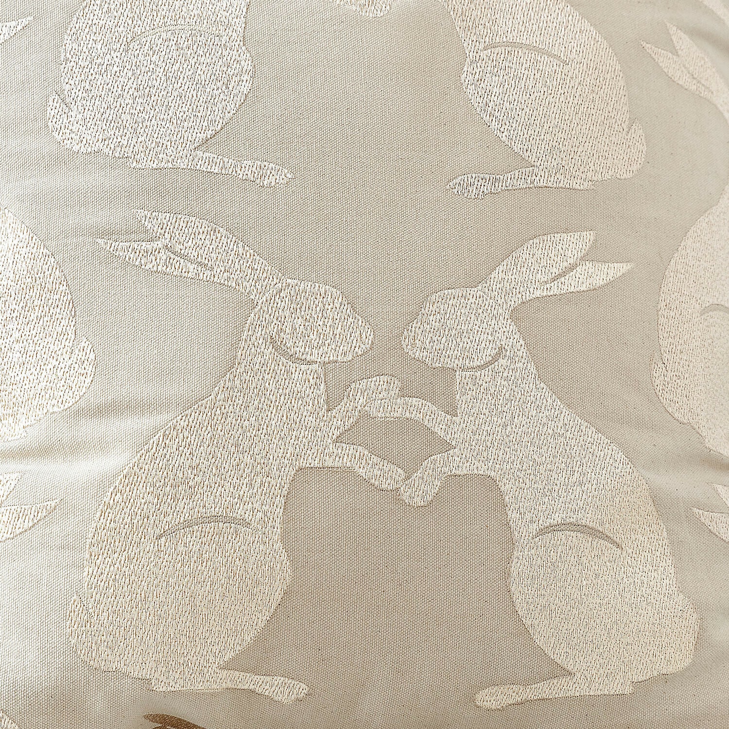 Housse de coussin Lunavine