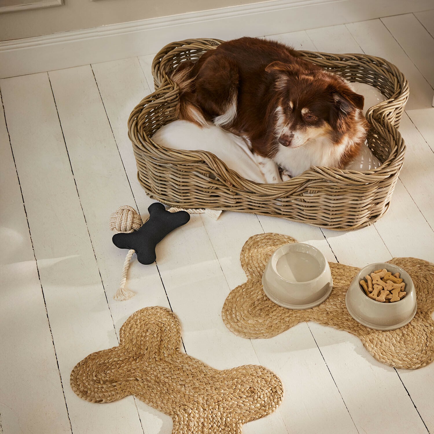 Jouet pour animaux Wuffsy