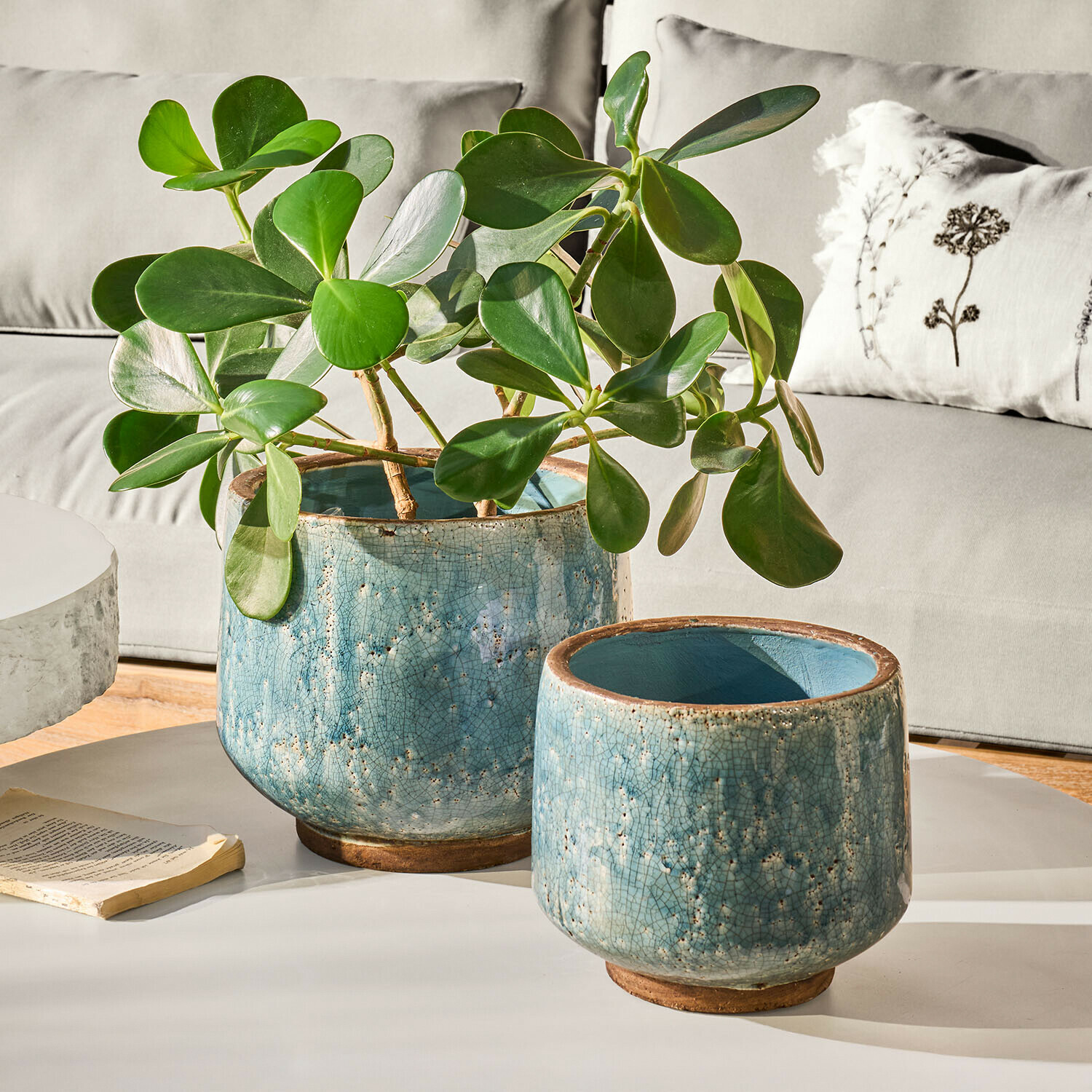 Deux pots en céramique bleue craquelée, l’un avec plante verte, posés sur une table blanche dans un salon
