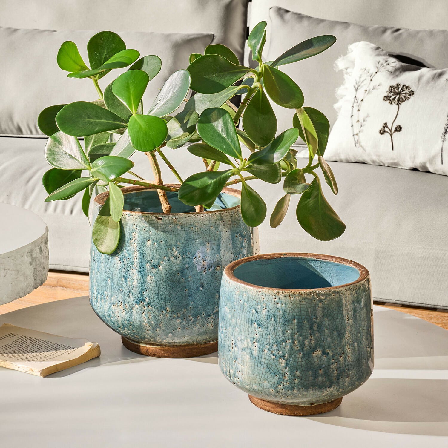 Lot de 2 cache-pots Mavoreta Deux pots en céramique bleue craquelée, l’un avec plante verte, posés sur une table blanche dans un salon