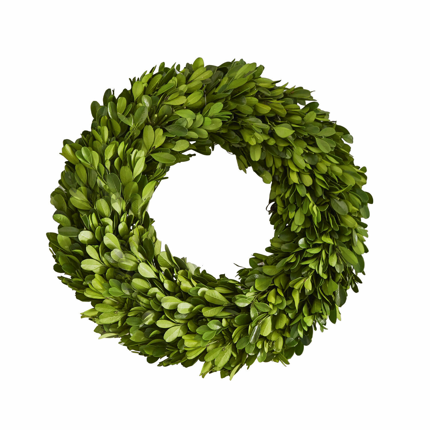 Couronne Auray Couronne verte en feuilles avec lanterne en verre transparent pour décoration intérieure et jardin