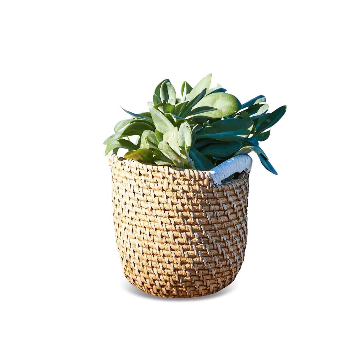 Cache-pot Zalia