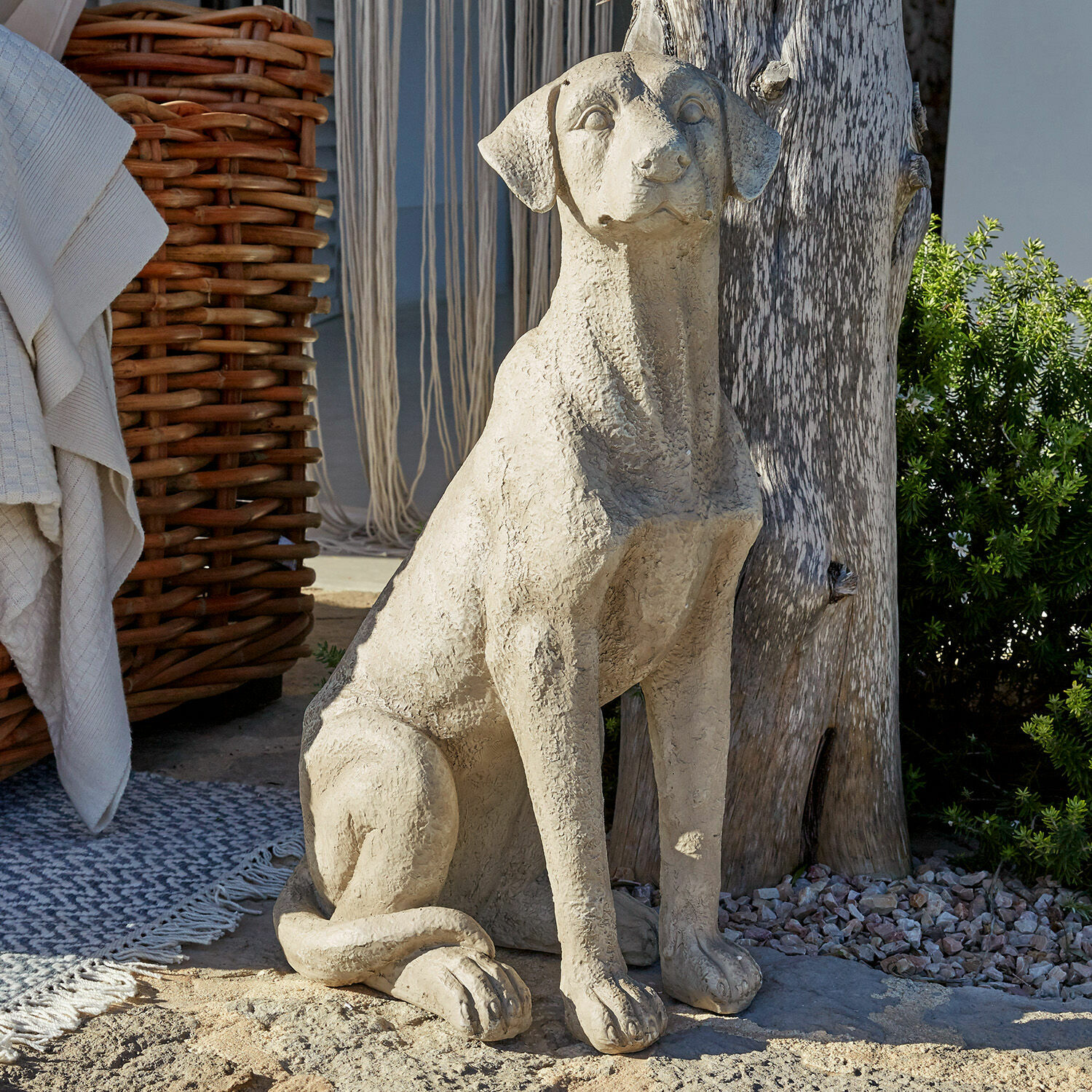Chien décoratif Elliot