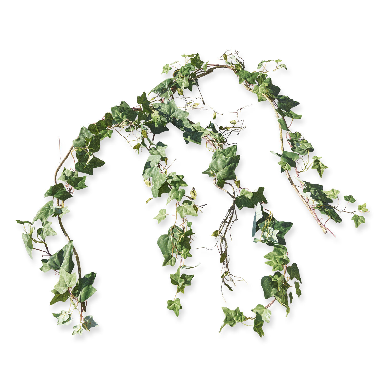 Lot de 2 sarments décoratifs Plaisance