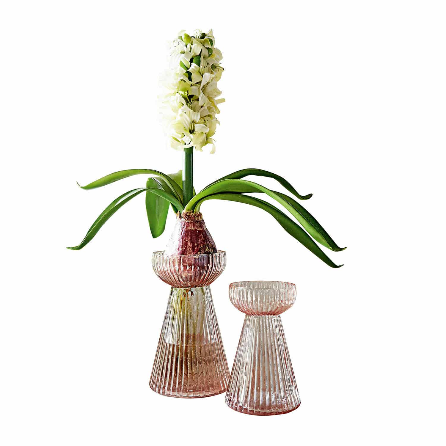 Lot de 2 vases Plouyé