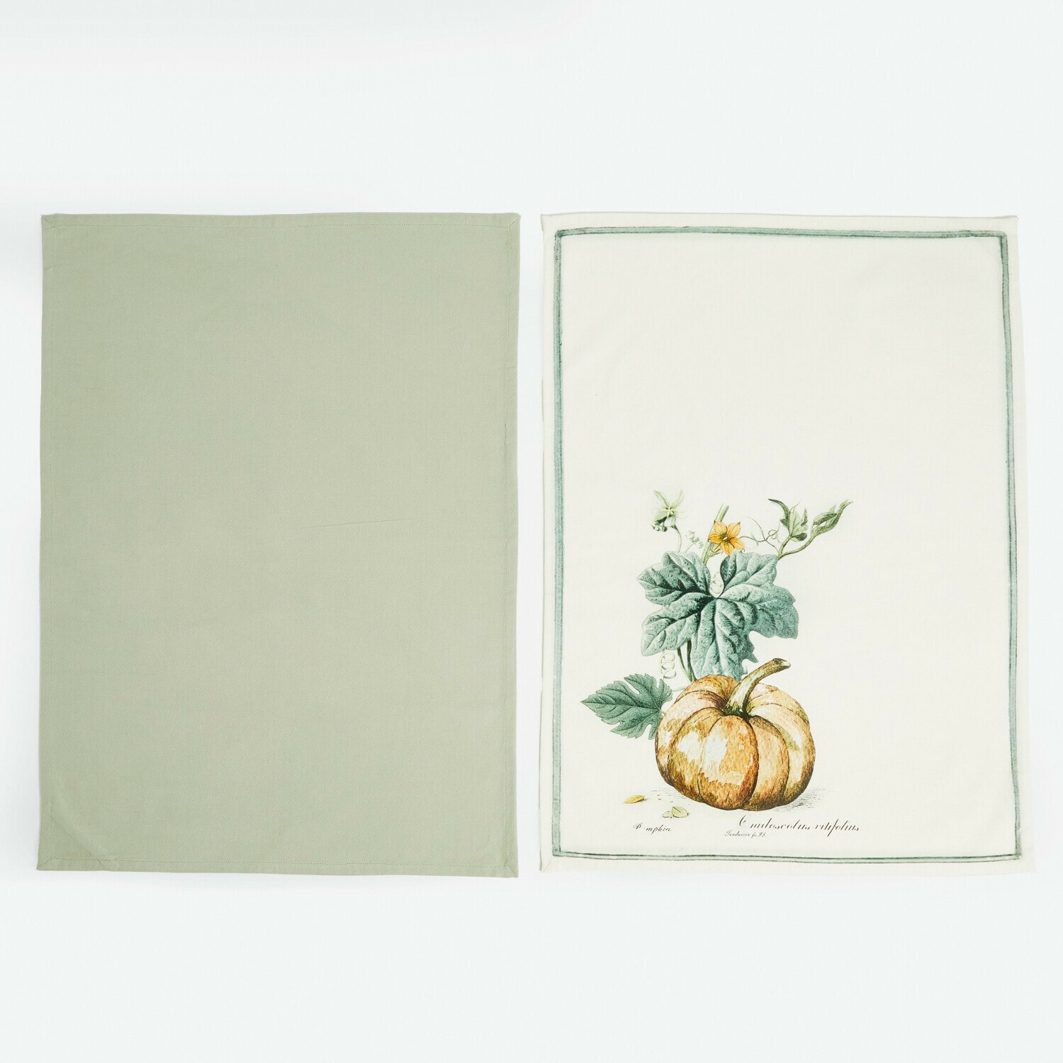 Lot de deux torchons en coton vert et crème avec motif citrouille pour cuisine décorative