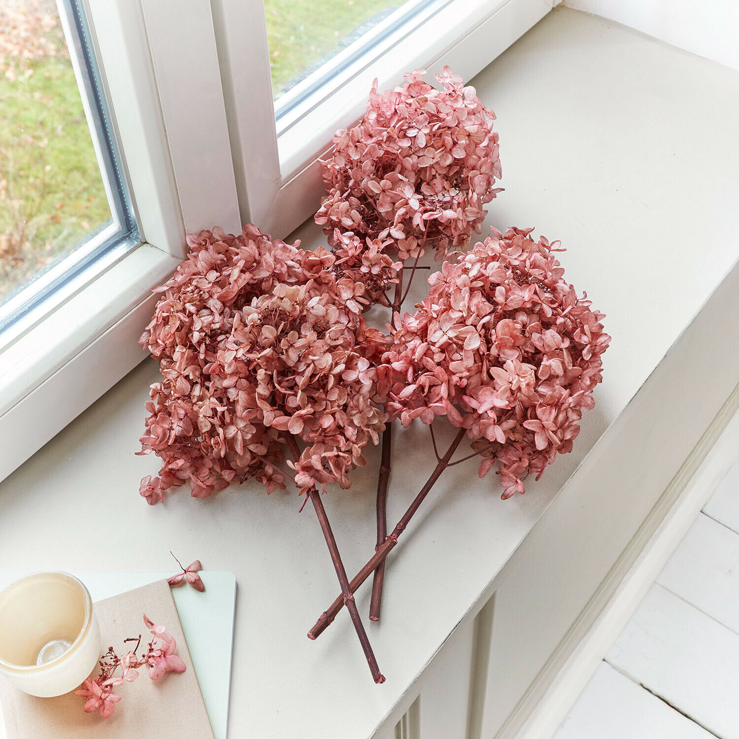 Fleurs séchées d'hortensia rose posées sur un rebord de fenêtre blanc pour décoration intérieure