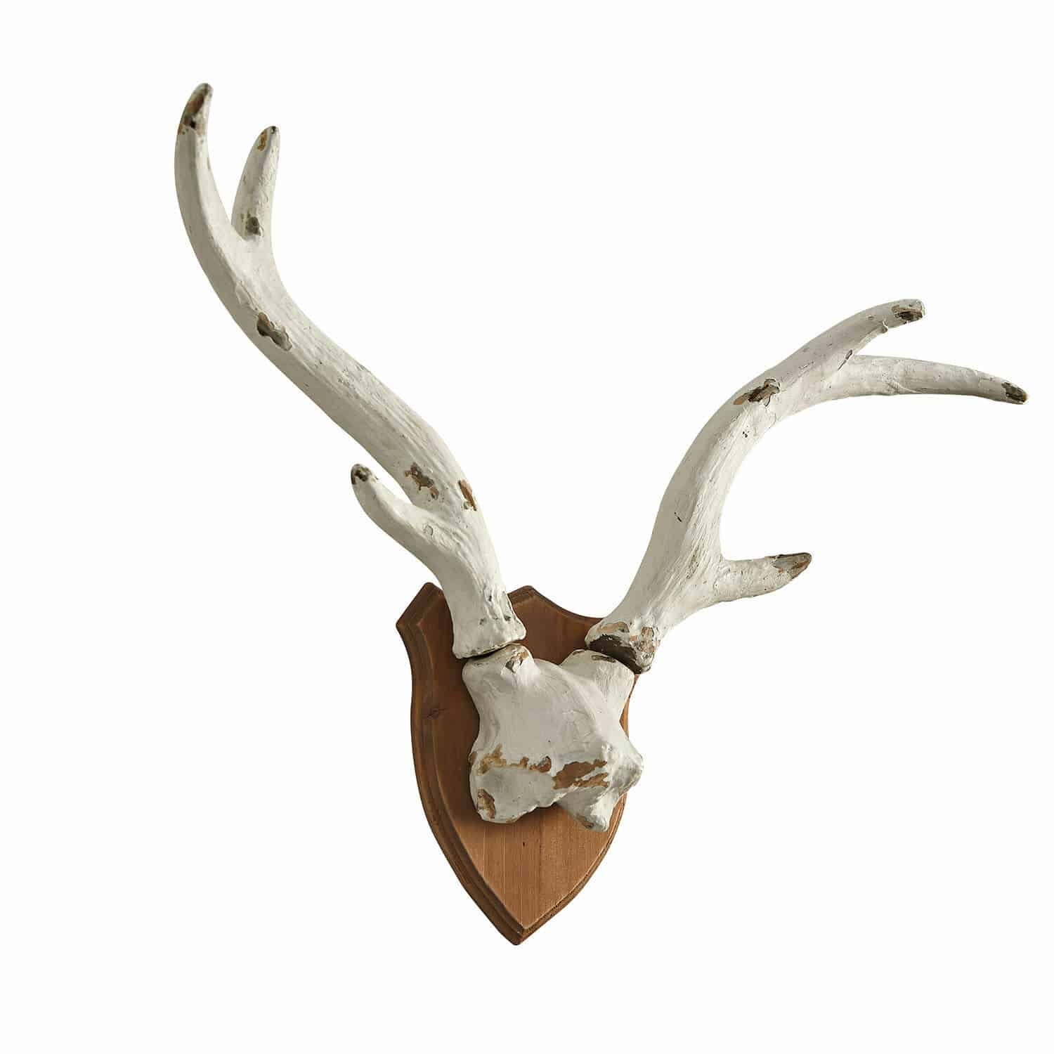 Bois de cerf décoratifs Talim Bois de cerf décoratif blanc sur plaque en bois pour décoration intérieure rustique