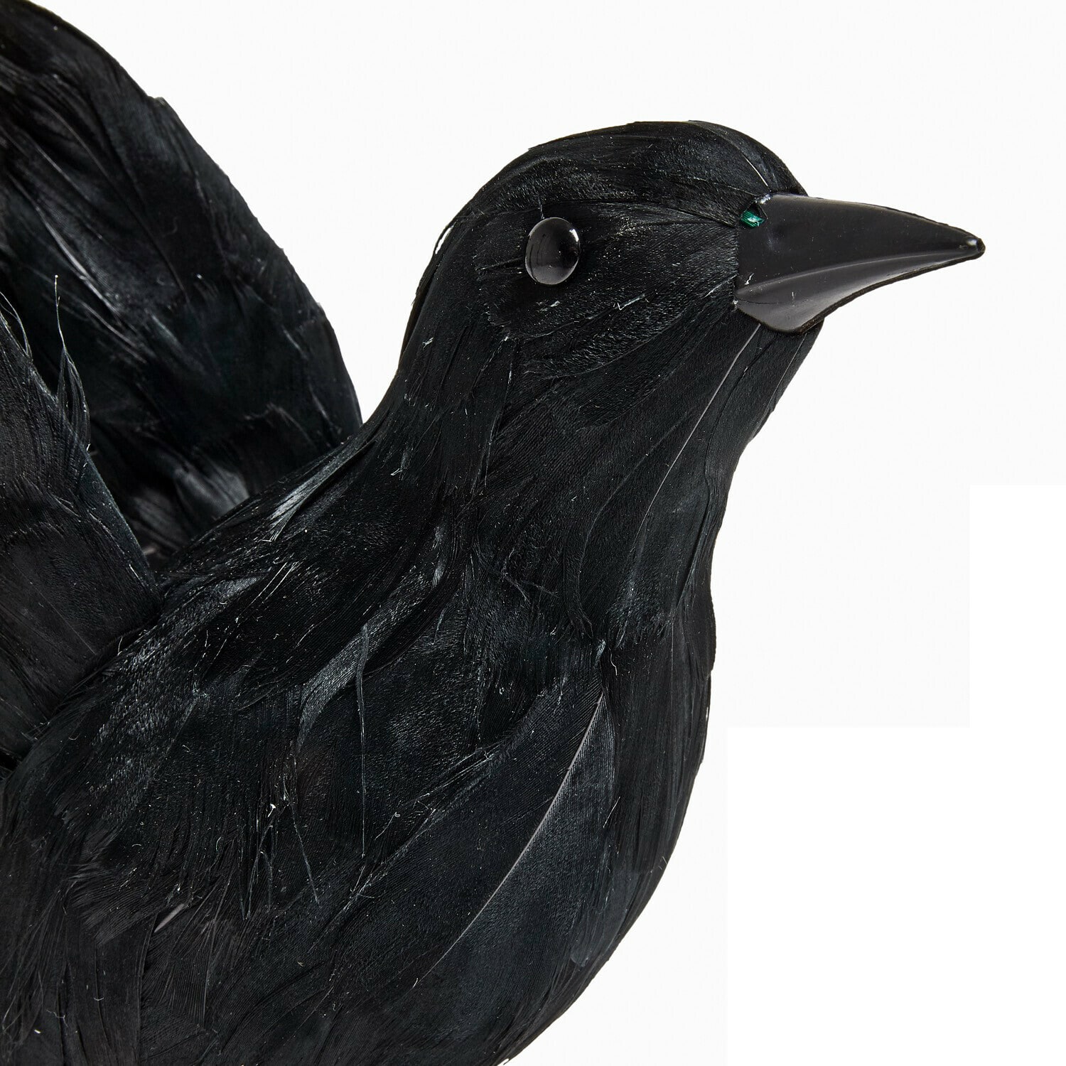 Oiseau décoratif Faelron