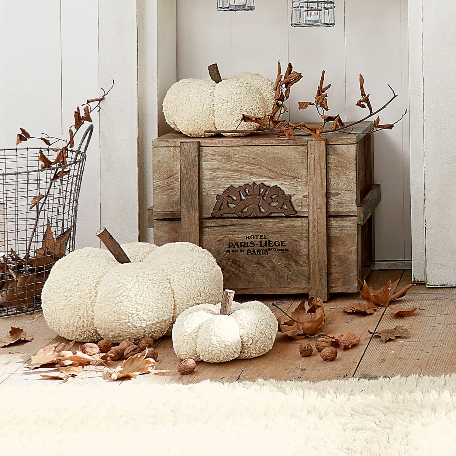 Lot de 3 citrouilles Benjamin