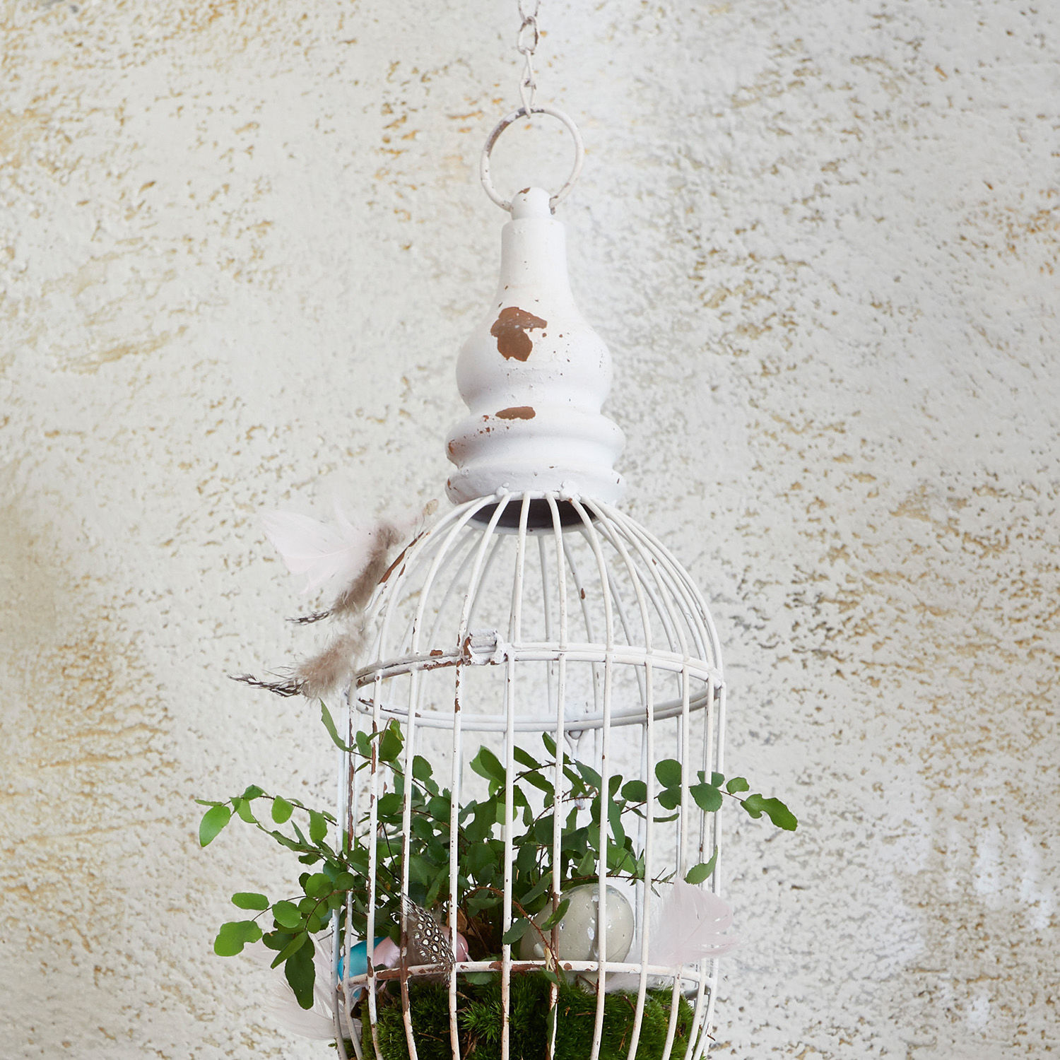Lot de 2 cages à oiseaux Alsace