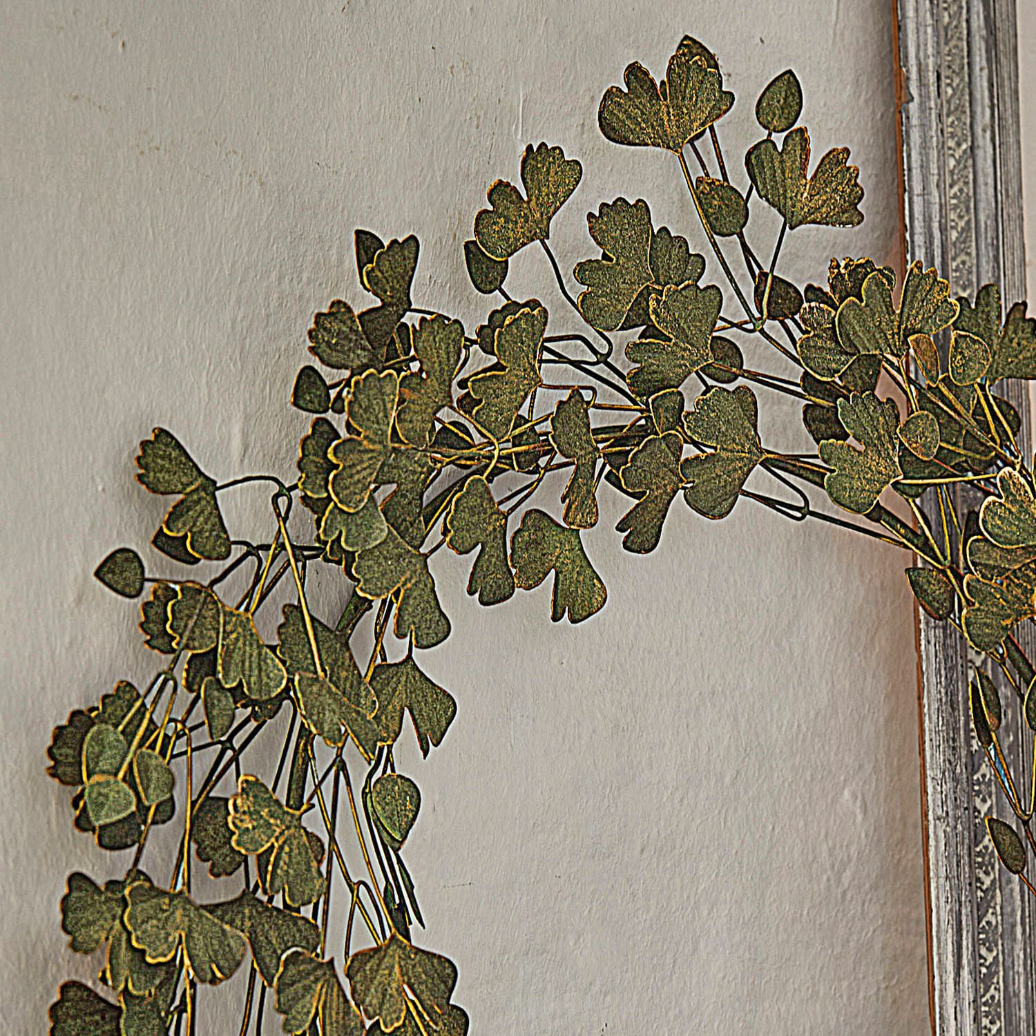 Couronne Syrdarja