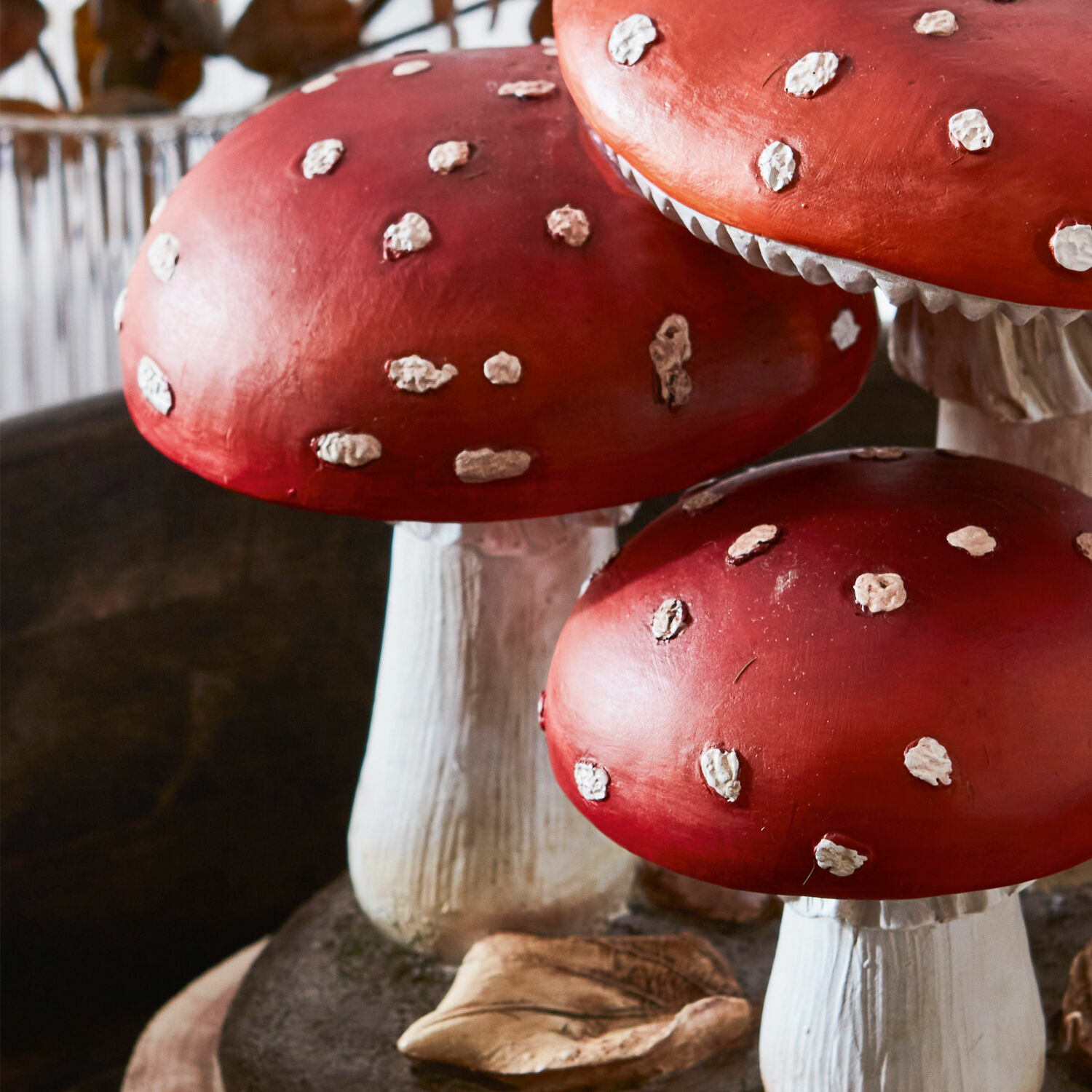 Champignons décoratifs Lupton