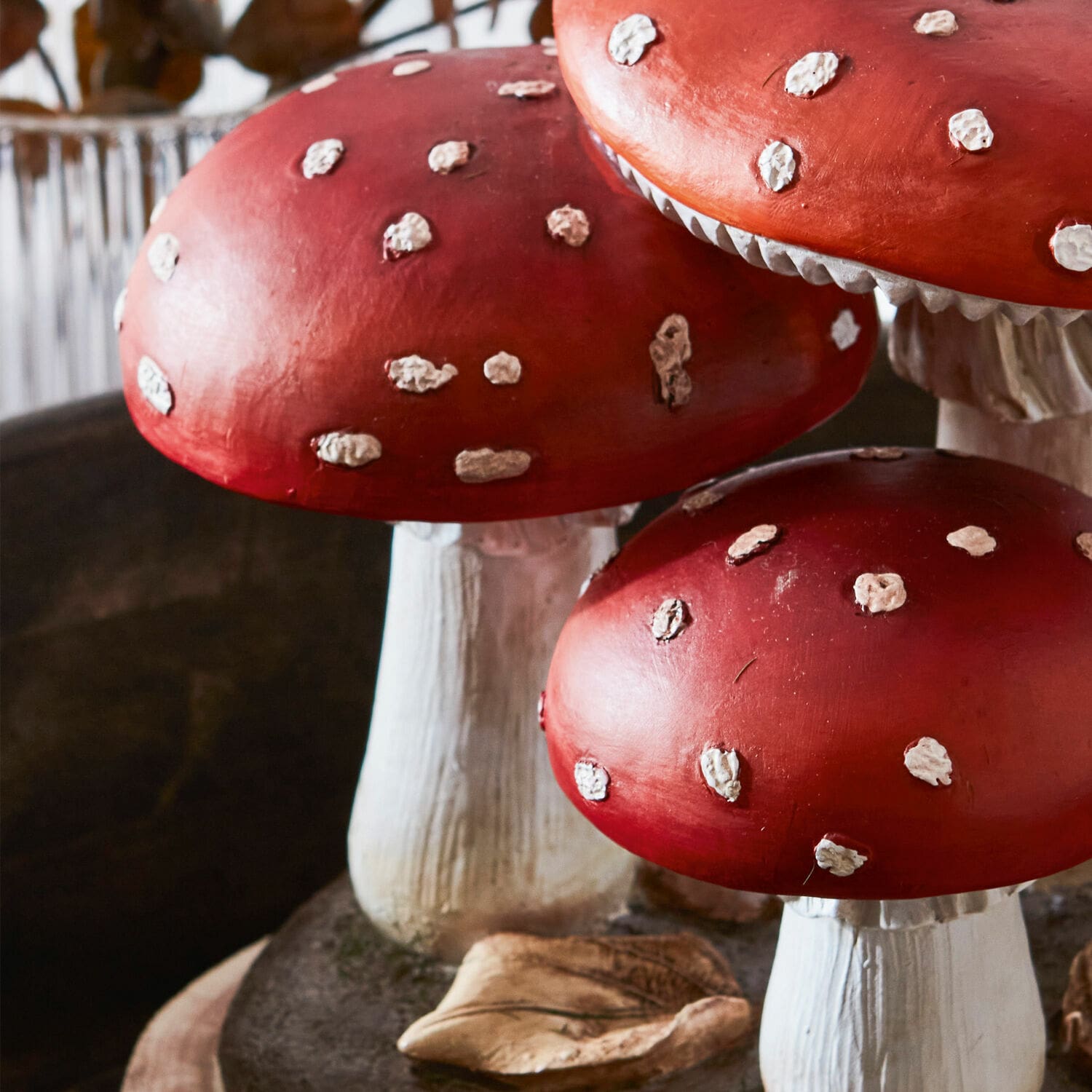 Champignons décoratifs Lupton