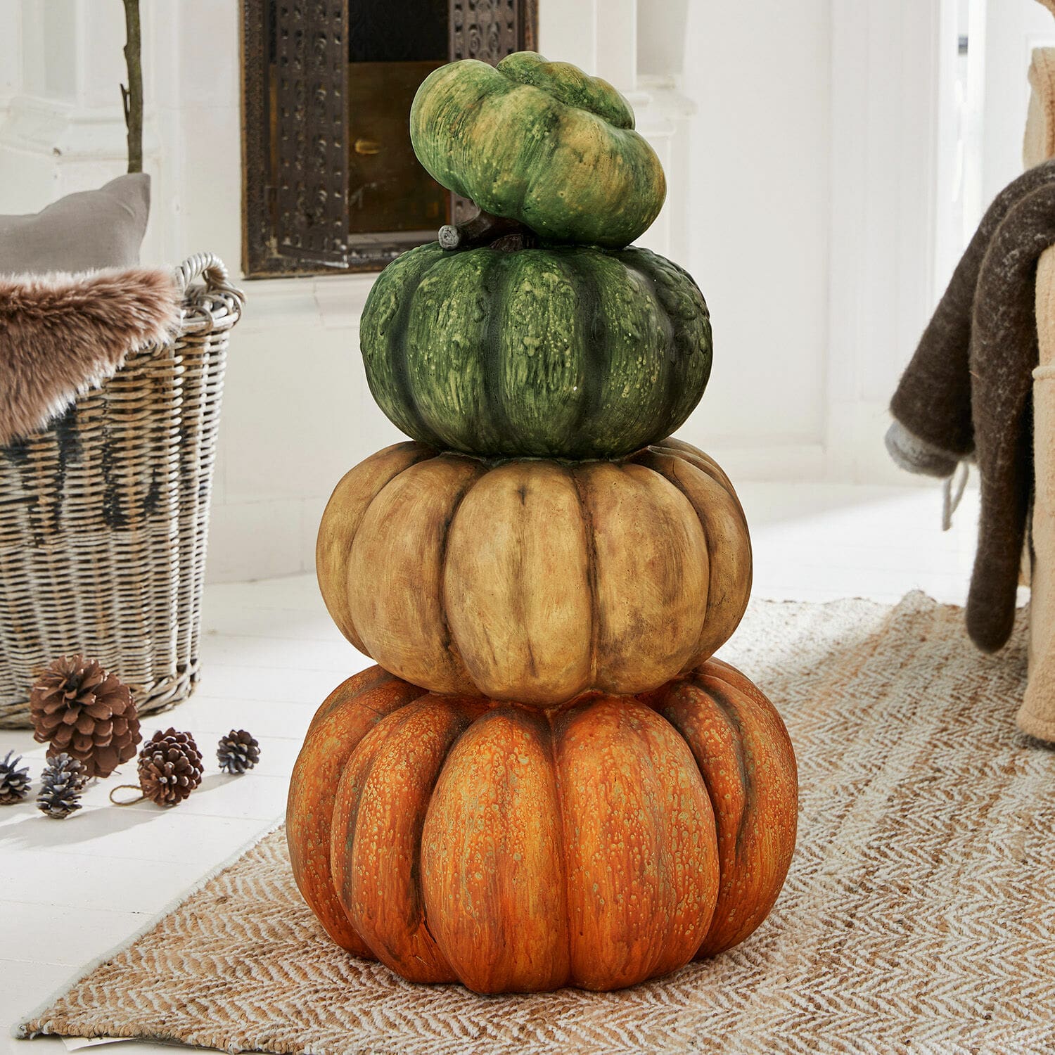Citrouilles décoratives Jensen