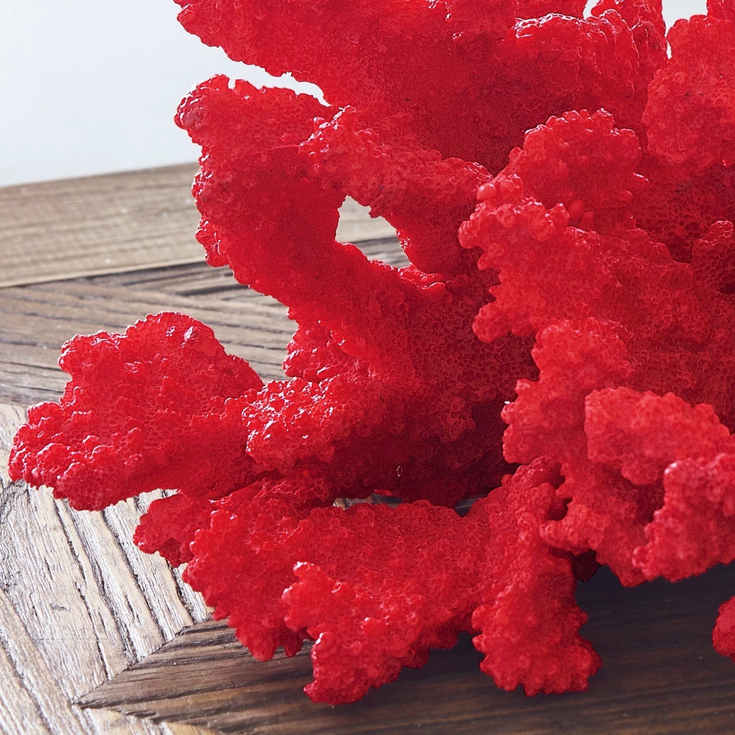 Corail décoratif Reddish
