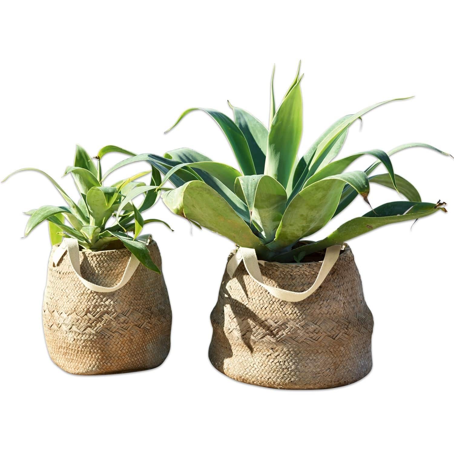 Lot de 2 cache-pots Mandella