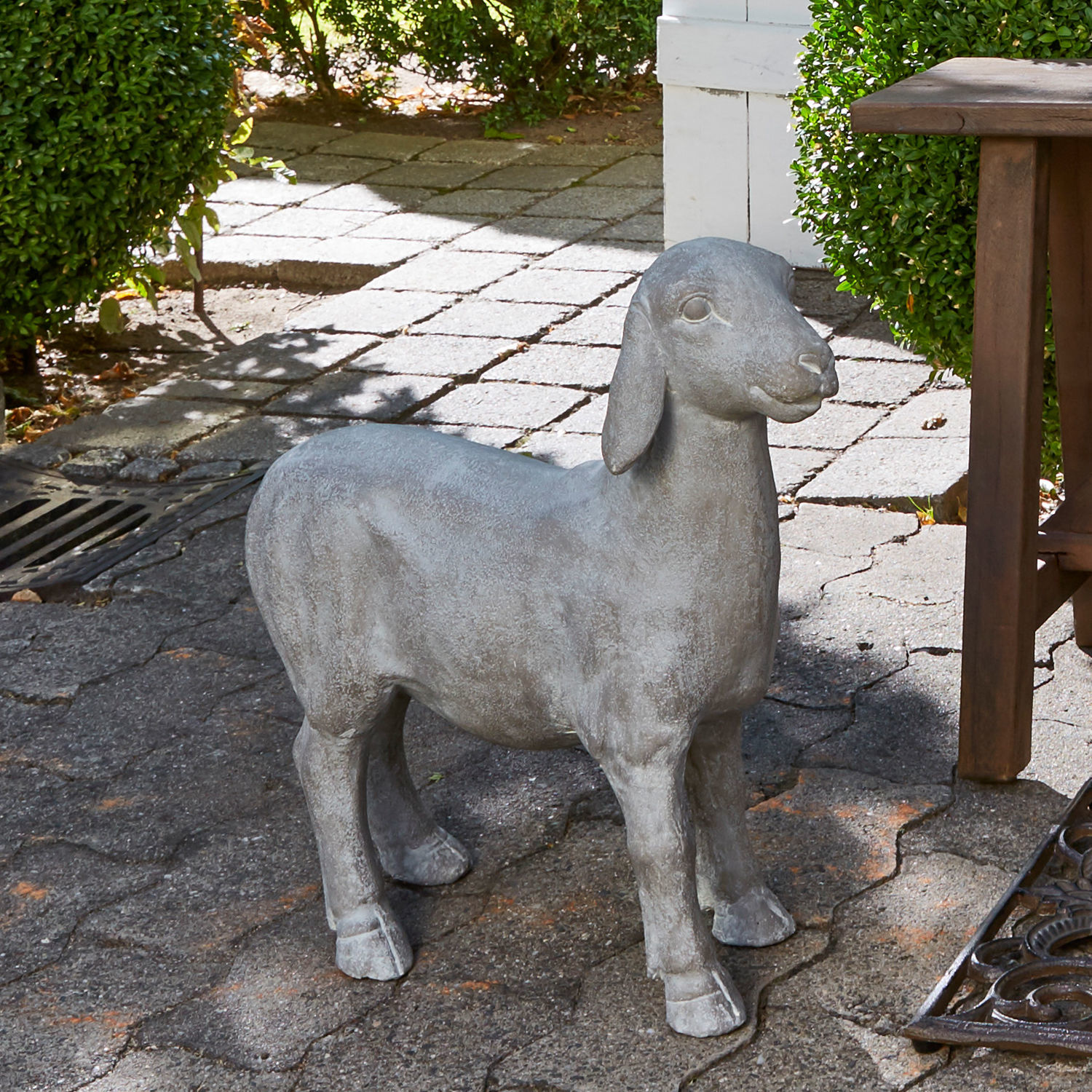 Mouton Mouton