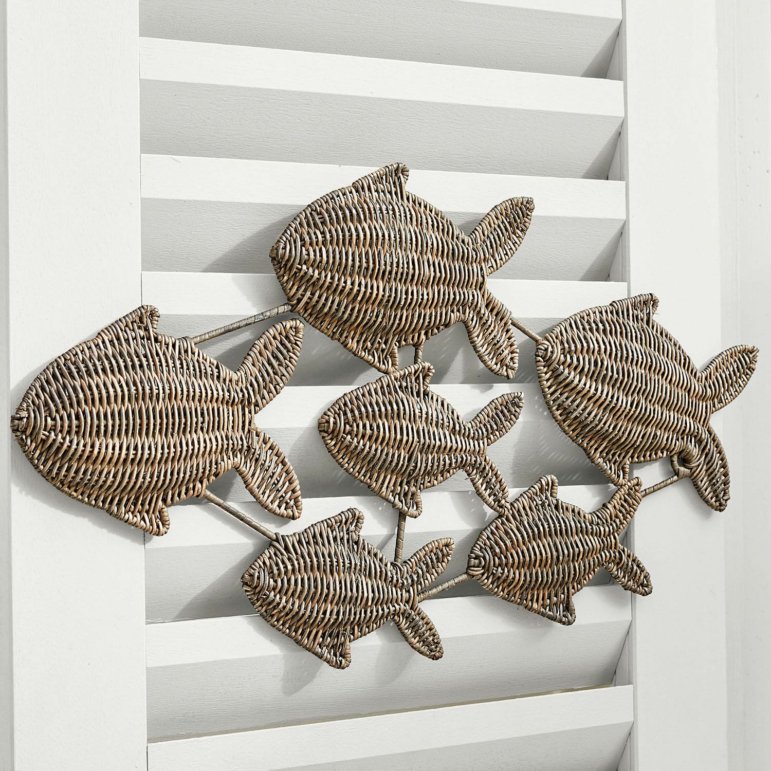Poissons décoratifs Vendée