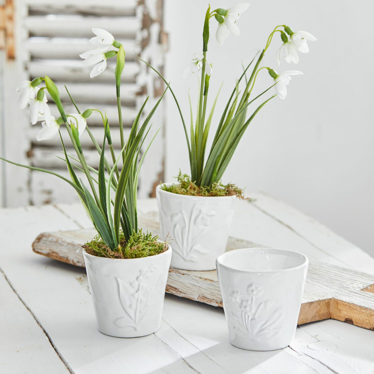 Lot de 3 cache-pots Spring