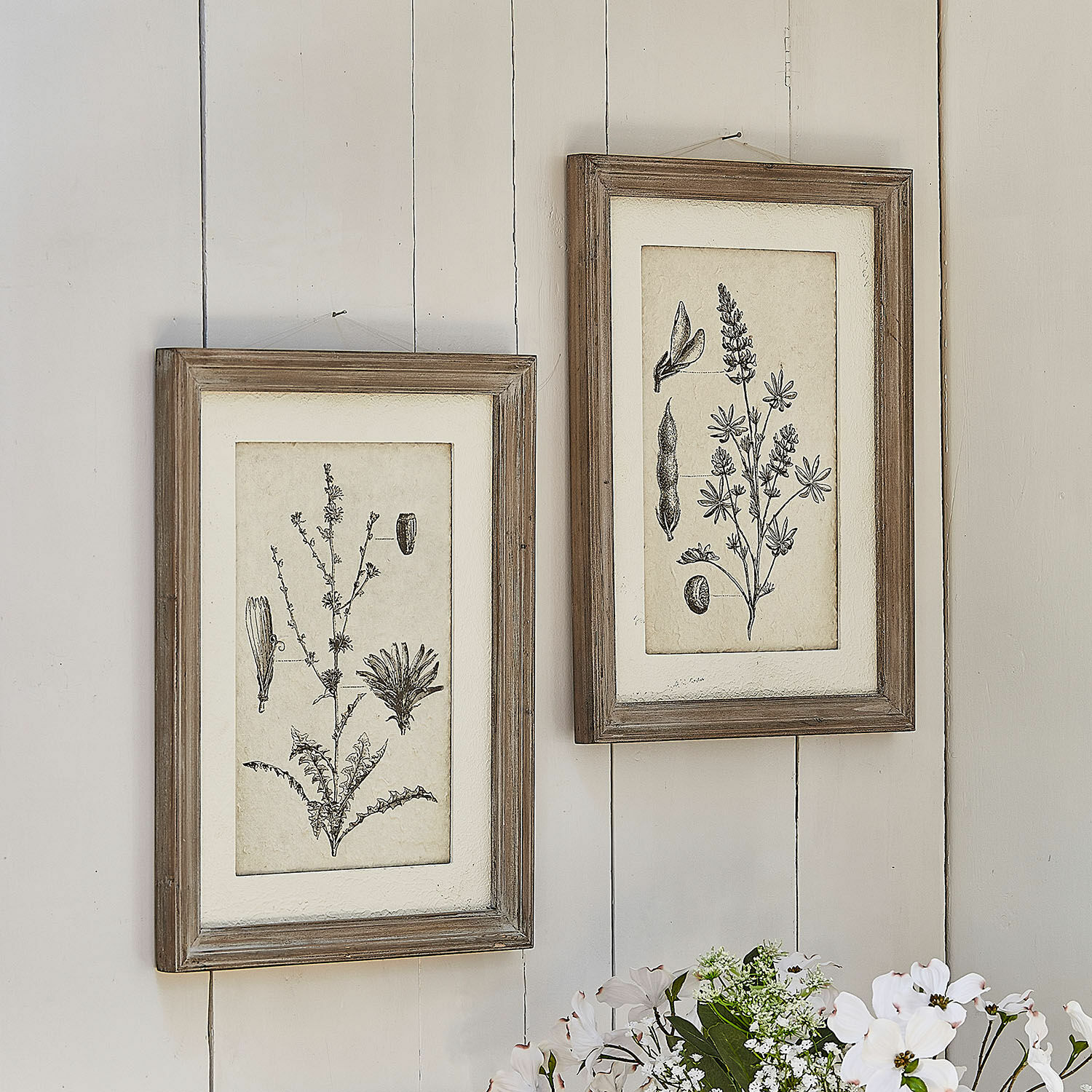 Lot de 2 tableaux Stanbury Deux cadres en bois rustiques avec dessins botaniques en noir et blanc accrochés au mur, décoration murale