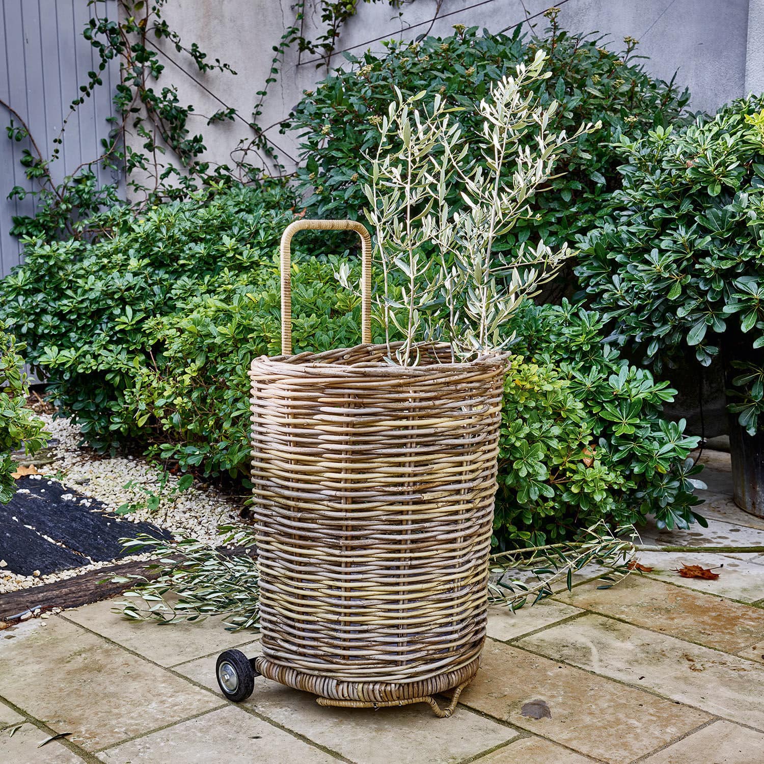 Panier Egbert