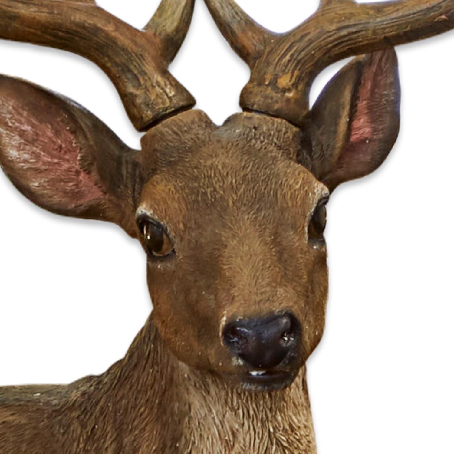 Décoration cerf + chevreuil Soliers