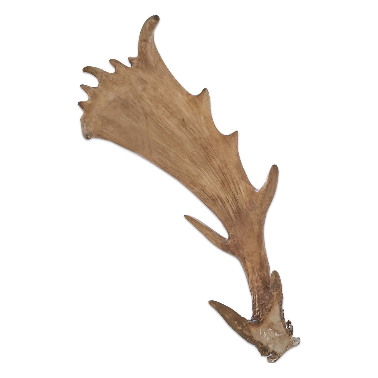 Bois de cerf ornementaux Laurence