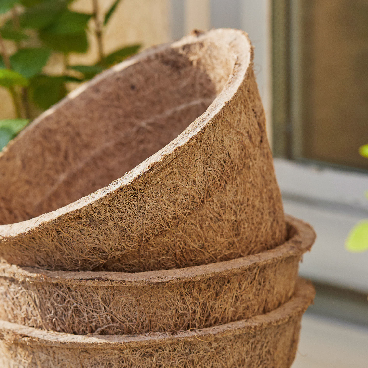Lot de 3 pots à semis Coco