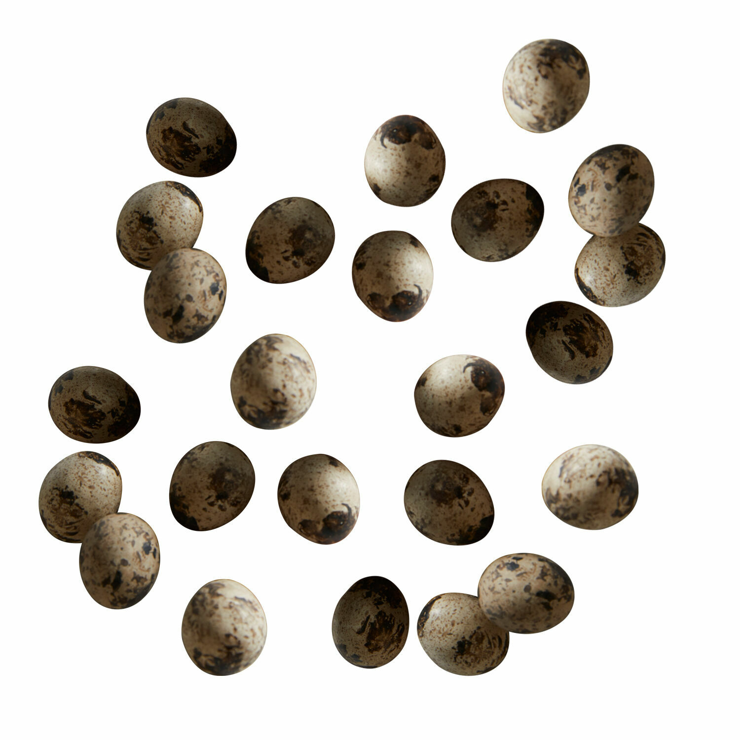 Lot de 24 œufs de caille Dilla