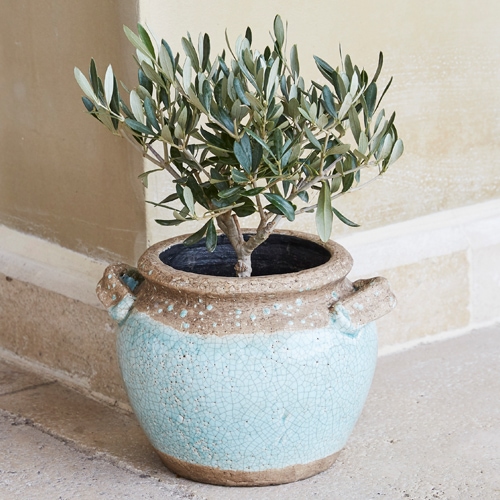 Pot en céramique bleu clair et beige avec plante, décoration intérieure et extérieure élégante