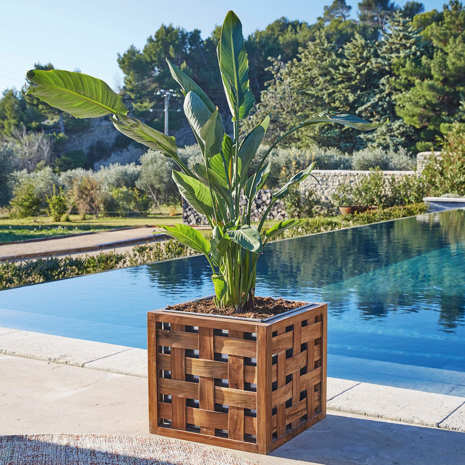 Cache-pot Henry