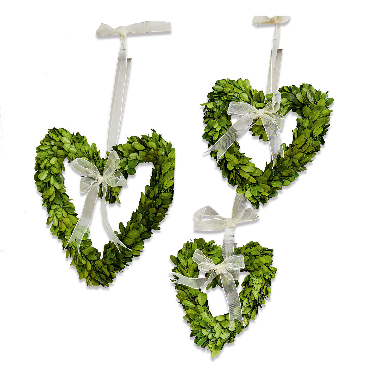 Lot de 3 suspensions Venia Cœurs verts en feuilles avec rubans blancs suspendus, décoration murale naturelle pour intérieur