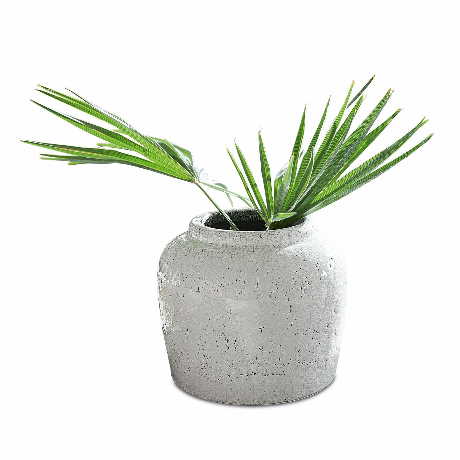 Vase Montauban