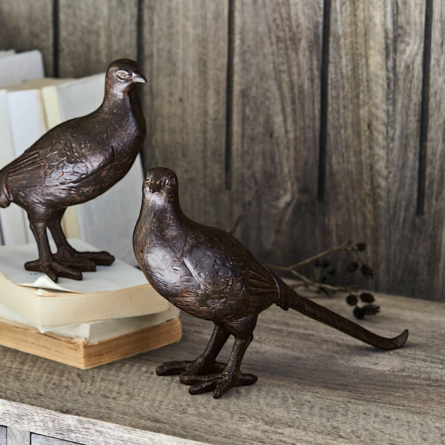 Lot de 2 oiseaux décoratifs Roddy