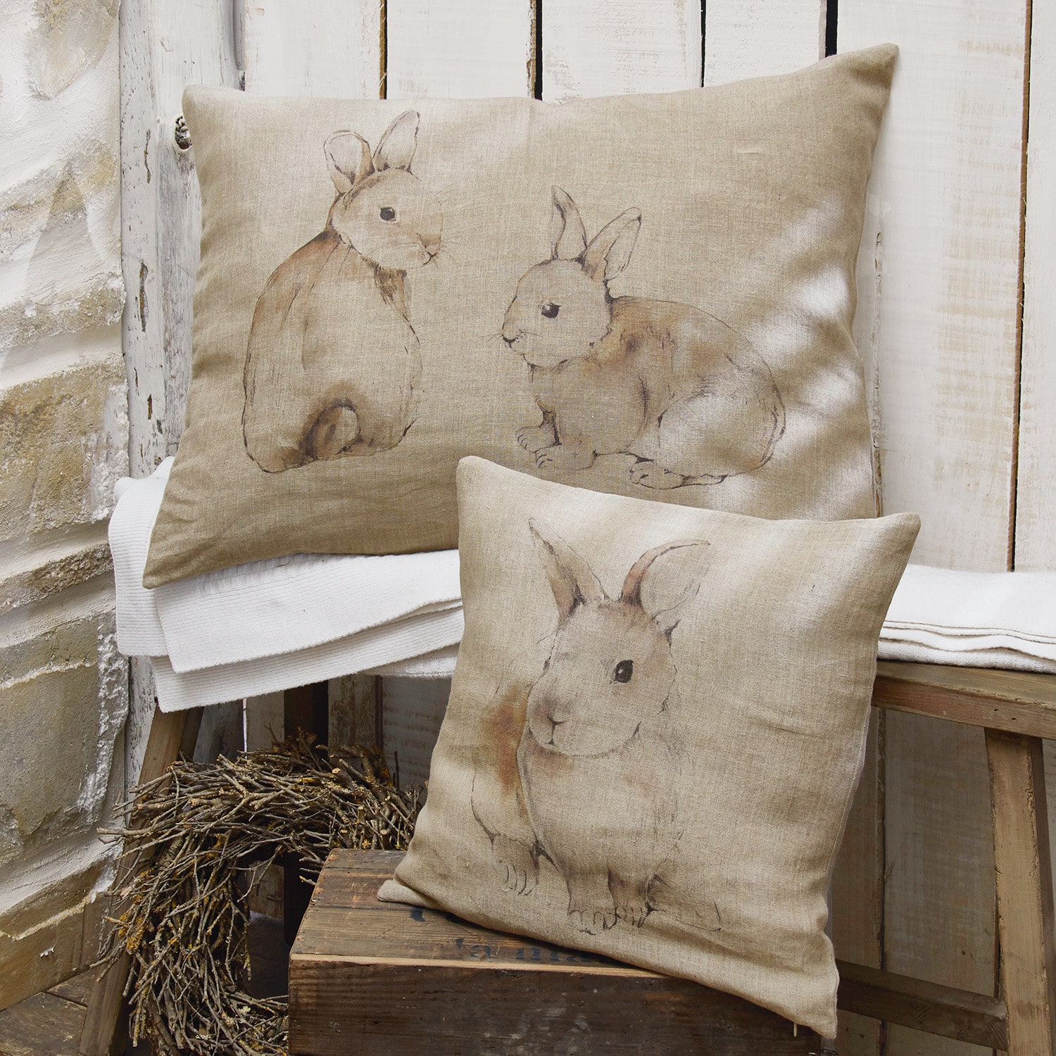 Lot de 2 coussins Clarkies